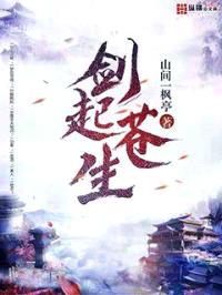 剑起苍生封面