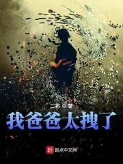 我爸爸太拽了封面