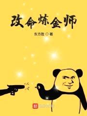 改命炼金师封面