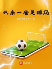 我有一座足球场封面