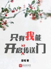 只有我能开启的传送门封面