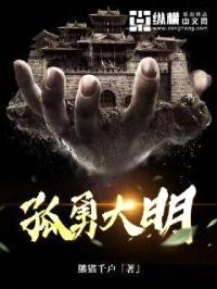 孤勇大明封面