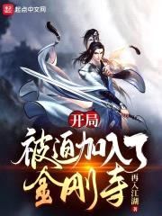 开局被迫加入了金刚寺封面