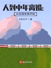 人到中年离婚：从庄园系统开始封面
