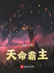 万国霸业封面