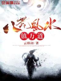 八荒风水镇万道封面