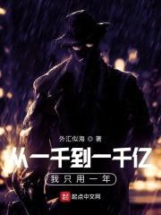从一千到一千亿我只用一年封面