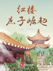 红楼：庶子崛起封面