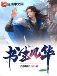 书生风华封面