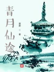 青月仙途封面