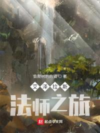 艾泽拉斯法师之旅封面