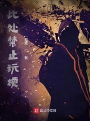 此处禁止玩梗封面