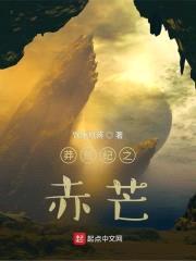 莽荒纪之赤芒封面