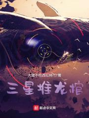 三星堆龙棺封面