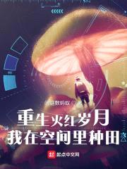 重生火红岁月，我在空间里种田封面
