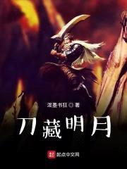 刀藏明月封面