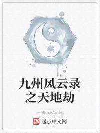 九州风云录之天地劫封面