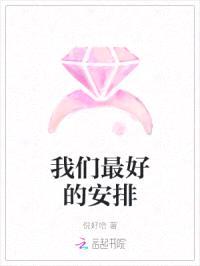 我们最好的安排封面