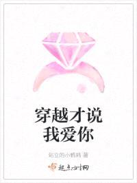 穿越才说我爱你封面