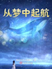 从梦中起航封面