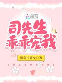 司先生乖乖宠我封面