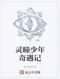 灵瞳少年奇遇记封面
