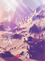 中峰之战封面