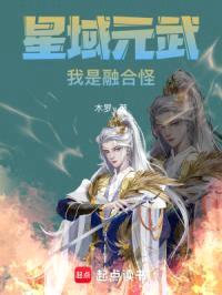 星域元武封面