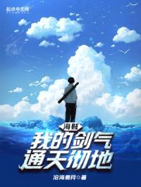 海贼：我的剑气通天彻地封面