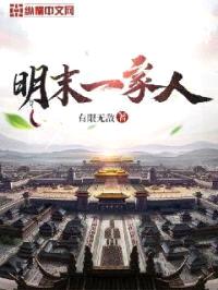 明末一家人封面