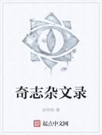 奇志杂文录封面