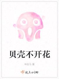 贝壳不开花封面