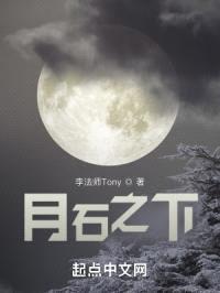 月石之下封面
