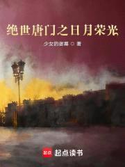 绝世唐门之日月荣光封面