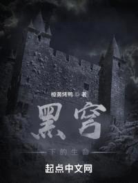 黑穹下的生命封面