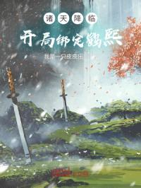 诸天降临开局绑定鹤熙封面