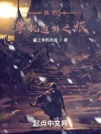 我的单机遨游之旅封面