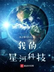 我的星河科技封面