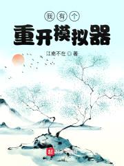 我有个重开模拟器封面