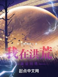 我在洪荒铺设网络封面