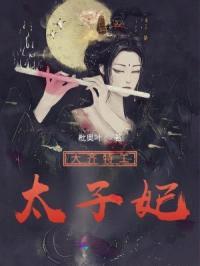 大齐特工太子妃封面