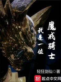 我是一位魔戒骑士封面
