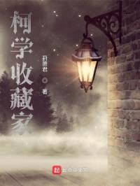 柯学收藏家封面