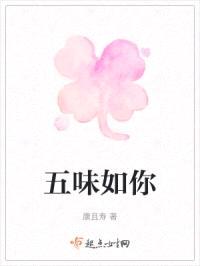 五味如你封面