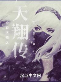 全职法师之天翔传封面