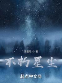 不灭星尘封面