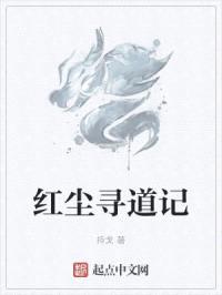 红尘寻道记封面