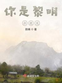 你是黎明亦是光封面