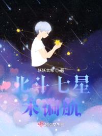 北斗七星未偏航封面