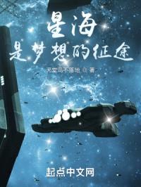 星海是梦想的征途封面
